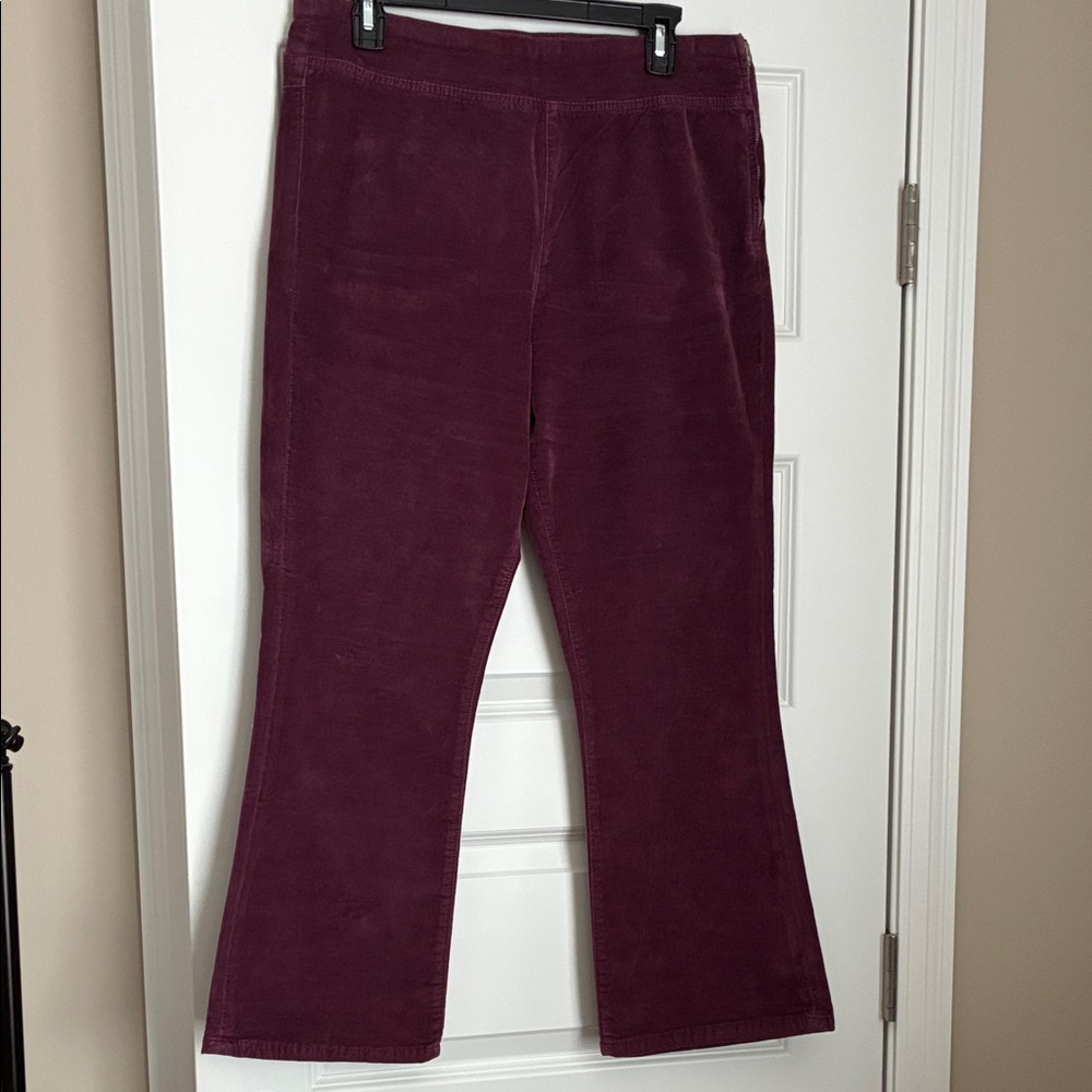 Free People Corduroy Pants in Deep Purple